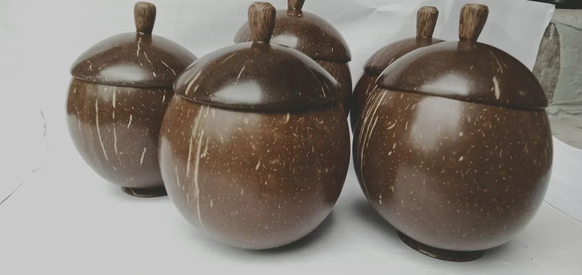 Coconut Jewellery Box