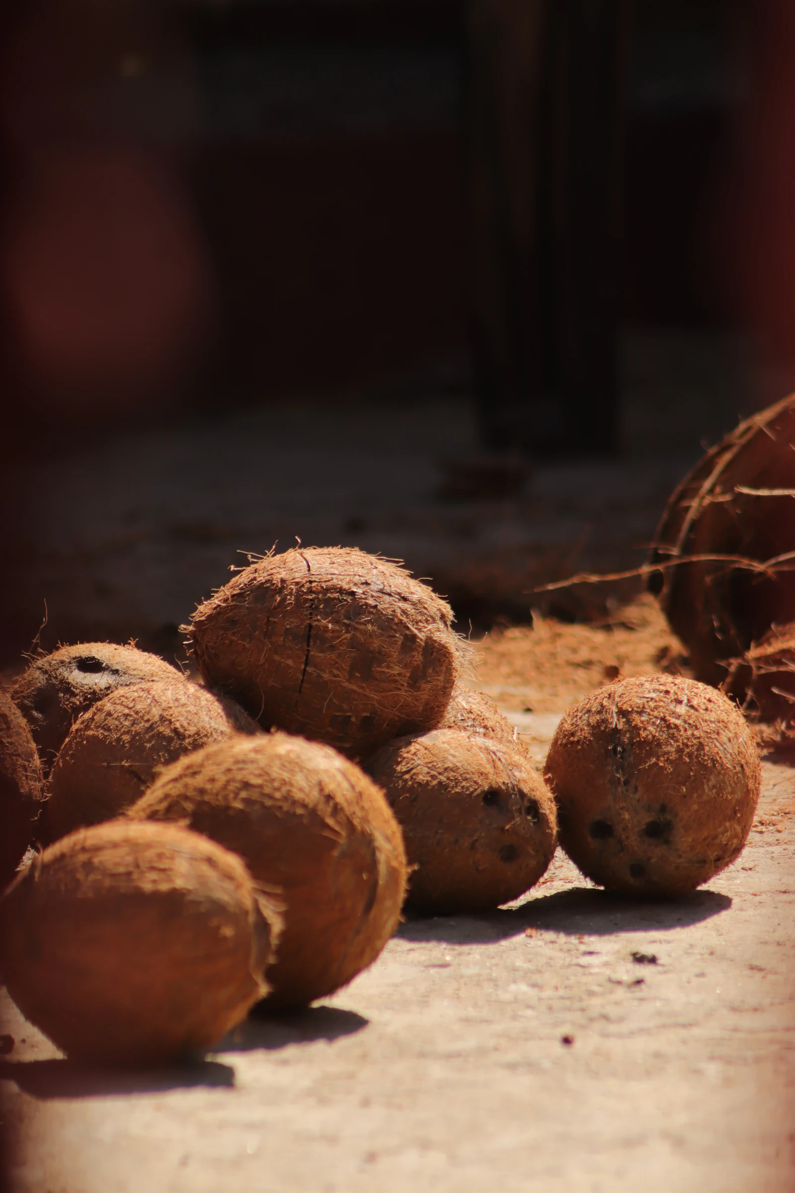 Dried Coconuts (100 pcs)